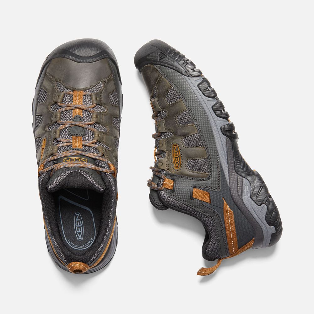 Keen Vandringsskor Herr Svarta Bruna - Targhee Vent - 934216SQG